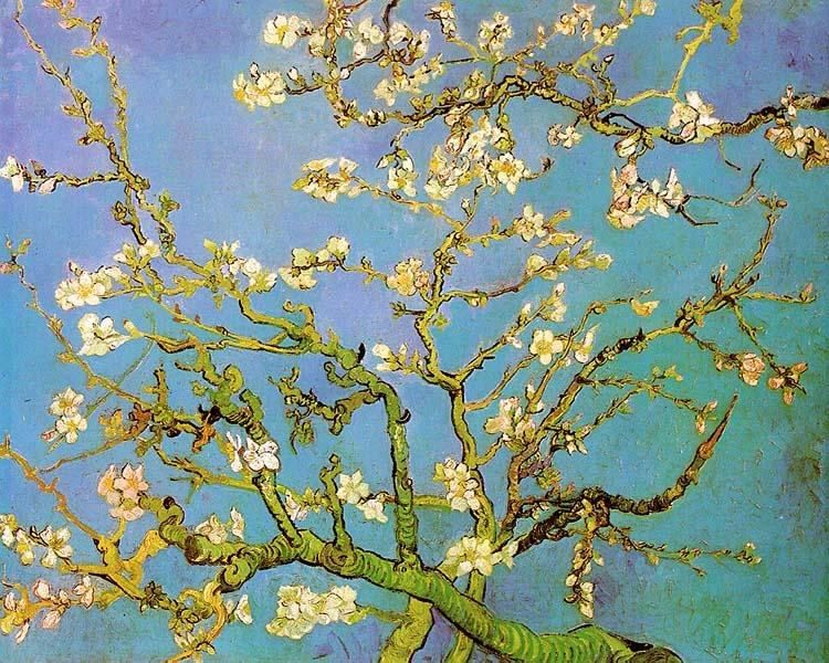Vincent van Gogh Almond Branches in Bloom